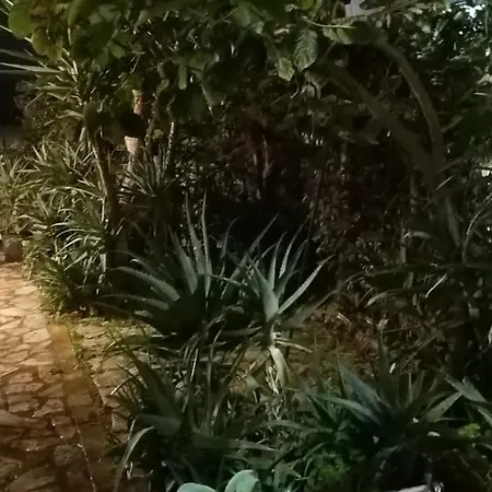 בית הארחה Aquila