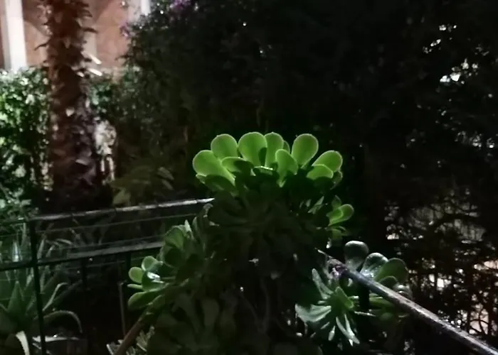 בית הארחה Aquila